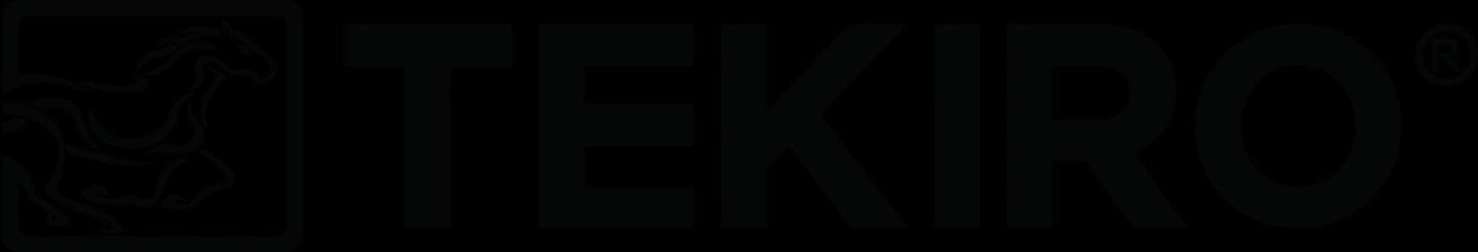 Logo Tekiro