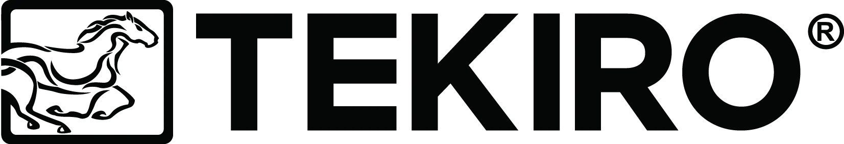 Logo Tekiro